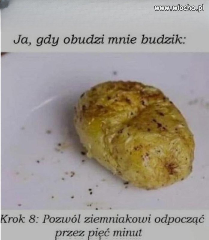 Pov: jest poranek