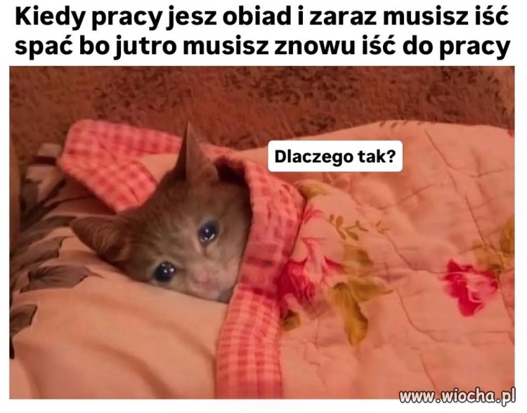 Proza życia jest straszna