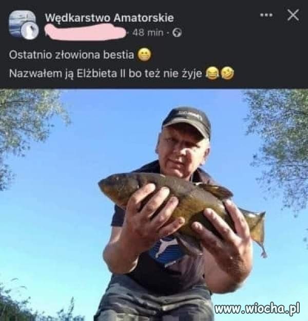 Nazwałem ją Elżbieta II
