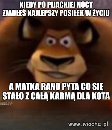 Niczego nie żałuję