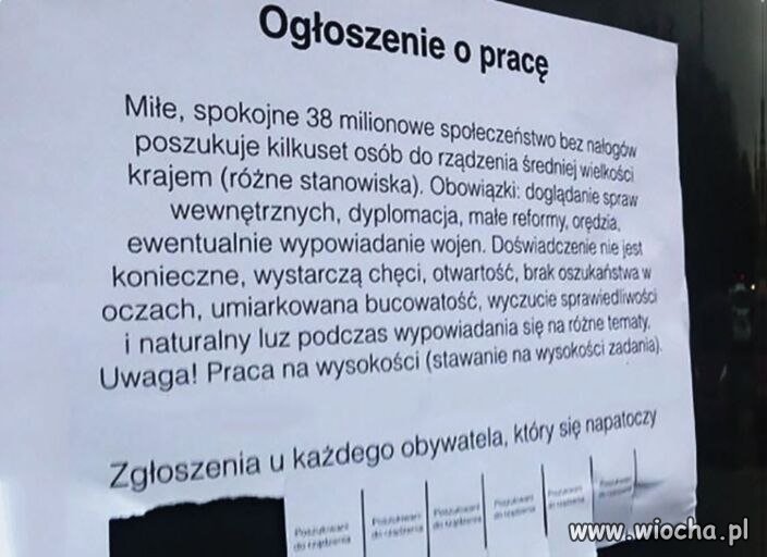 Ogłoszenie o pracę