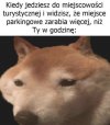 Kiedy miejsce parkingowe zarabia więcej od Ciebie
