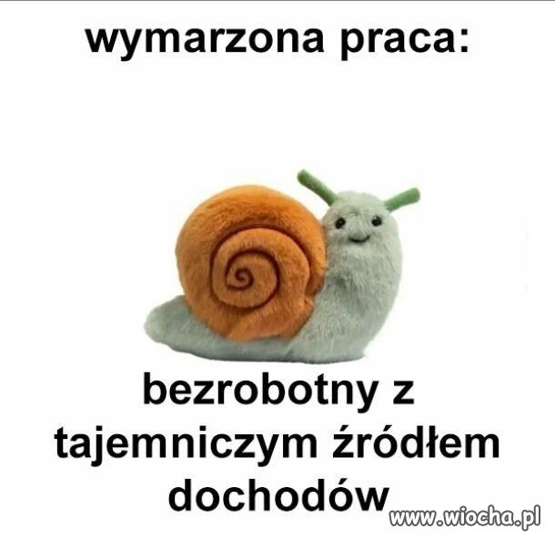 Dokładnie, to jest moja wymarzona praca