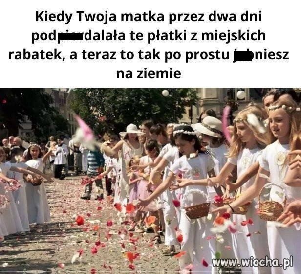 Wczoraj wszystkie kradzione kwiaty