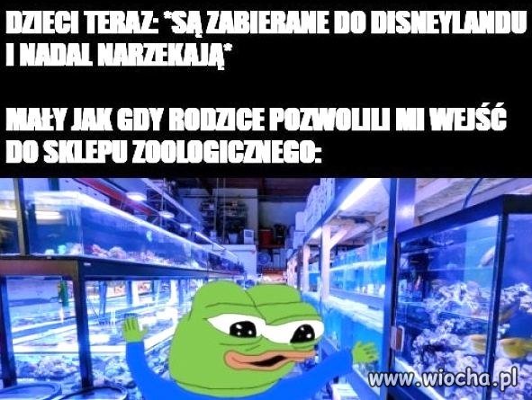 Wow, mamo zobacz, rybka
