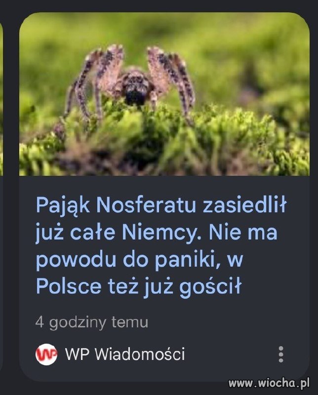 Nie ma powodu do paniki