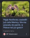 Nie ma powodu do paniki